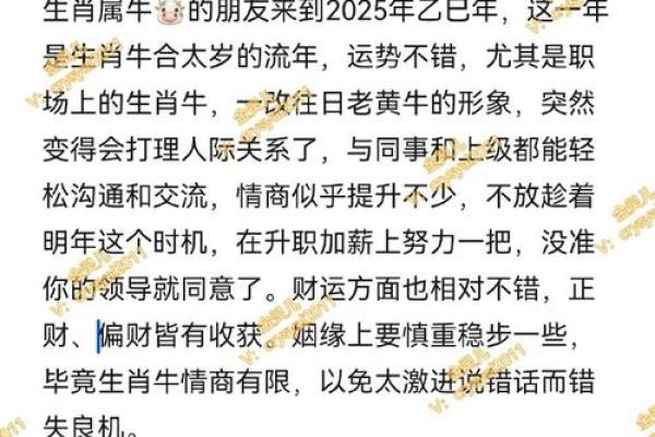 苏珊米勒2025年金牛座运势详解财运与爱情双丰收