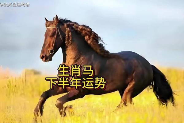 今年属马的财运和运气如何_2024年属马人运势解析财运如何全年运程大揭秘 今年属马的财运和运气如何_2024年属马人运势解析财运如何全年运程大揭秘