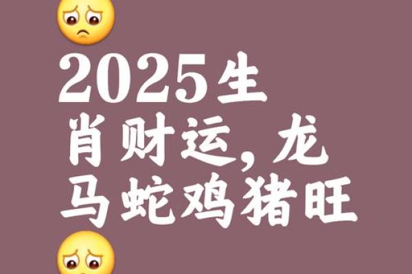 2025年生肖龙财运如何 2025年属龙人全年财运解析吉凶月份与财富密码 2025年生肖龙财运如何 2025年属龙人全年财运解析吉凶月份与财富密码
