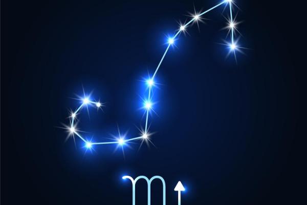 2025年虎年处女座运势_2025年虎年处女座运势详解事业爱情财运全解析