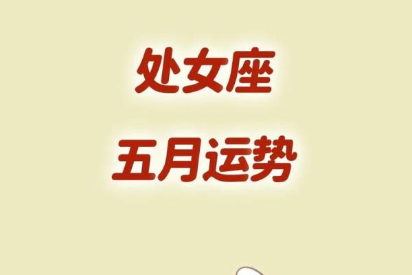 处女座男生今天运势_处女座男今日运势查询势