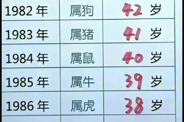 1988年属龙幸运数字和颜色 1988属龙终身最旺数字