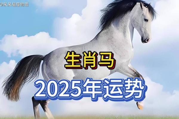 属马的人2025年运势_2025年属马人运势详解财运事业运程全预测