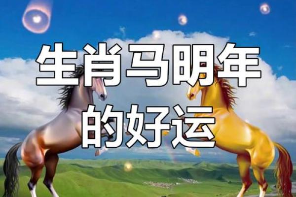 1990属马2025年运势 1990年属马人2025年运势全面解析