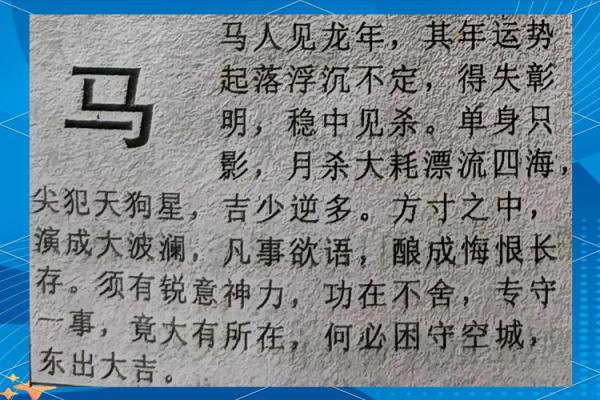 属马在2025年的运势 属马在2025年的运势如何