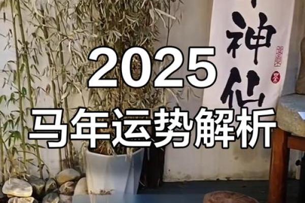 2025年运势属马_2025年属马的人的全年运势如何
