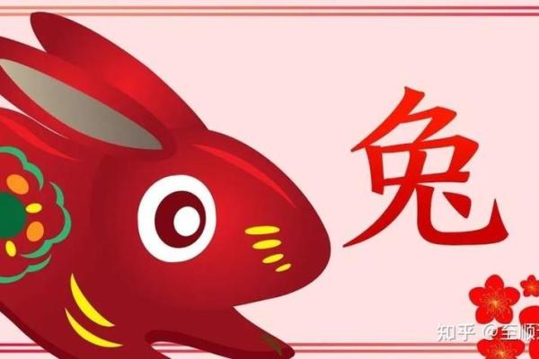 63年属兔人2023年运势解析财运事业感情全揭秘