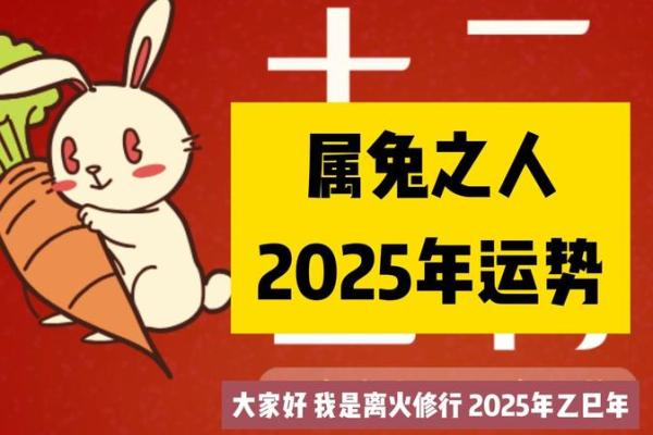 1987年属兔2025年每月运势完整版_1975年属兔2025年运势完整版