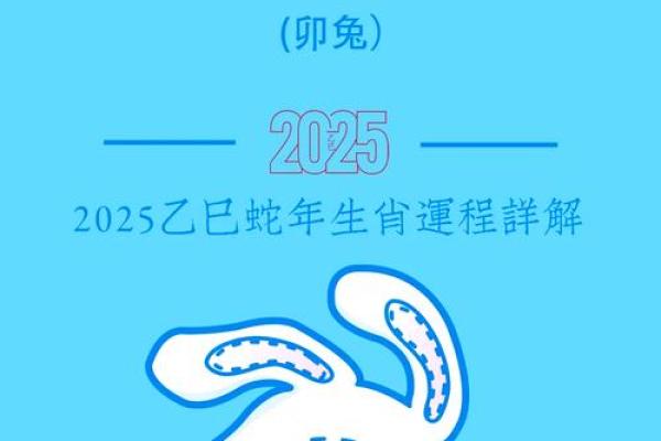 2025年属兔运势详解财运事业爱情全面解析