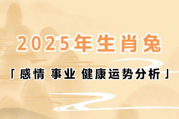 2025属兔用什么颜色最旺_2025属兔最旺颜色指南提升运势的幸运色