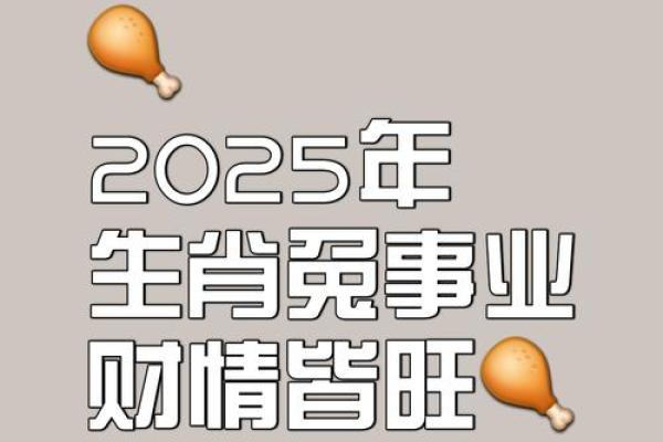 2025属兔用什么颜色最旺_2025属兔最旺颜色指南提升运势的幸运色
