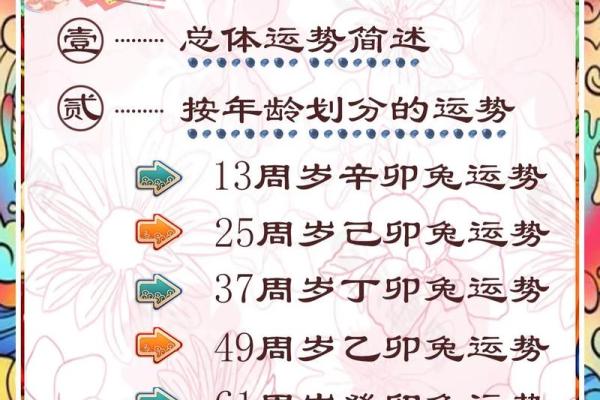 2025年属兔人年龄揭秘你今年几岁
