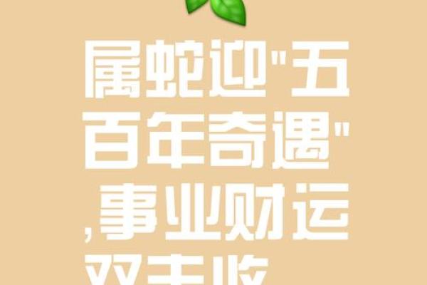 2025属龙的今年多大 属蛇的2025年几岁