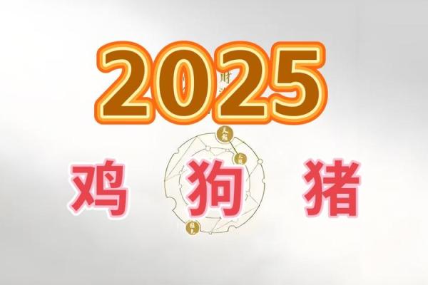2025年属鸡2005年人的全年运势_2025年属鸡2005年出生者全年运势详解