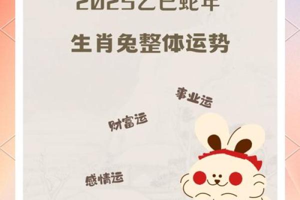 1975年属兔人2025年运势完整版_75年的兔未来五年运势