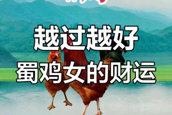 2005属鸡女最佳婚配属相_93年属鸡女一生命运及婚姻