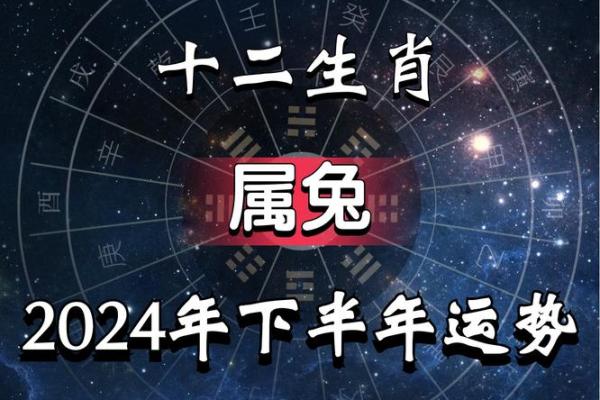 2025年属兔是什么命_2025年属兔命运解析运势财运与事业全揭秘