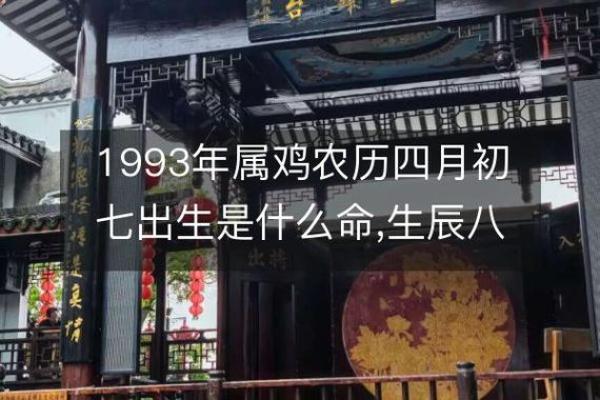 1993年属鸡的一生命运 1993年属鸡人一生命运解析事业爱情与财运全揭秘