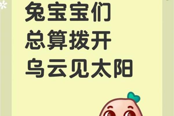 属兔2025年运势及运程详解 属兔2025年运势及运程详解每月 属兔2025年运势及运程详解 属兔2025年运势及运程详解每月