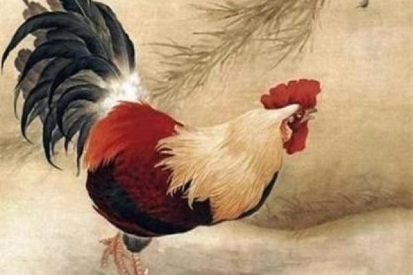 2025年1981年属鸡女运势_81年鸡女44岁躲不过桃花劫吗