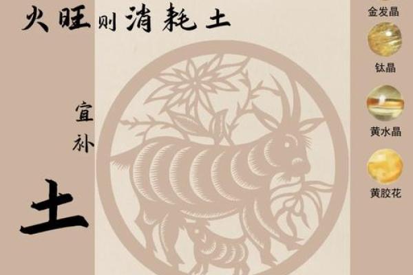 2025属羊的全年运势_2025属相羊全年运势 2025属羊的全年运势_2025属相羊全年运势