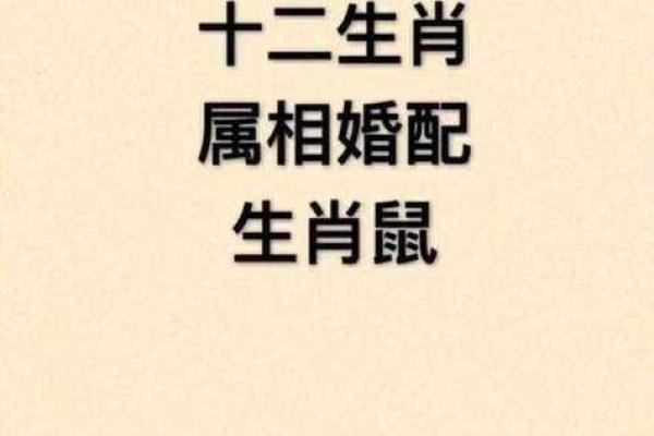 1996年1月属猪还是老鼠_1996年一月属鼠是什么命