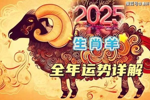 1971年属猪未来5年运势_属羊人1979年2025年运势