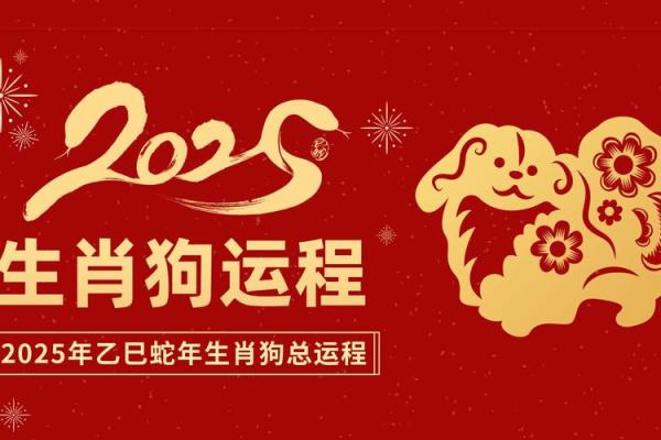 2025年属狗的多大岁数_25年82年属狗人的命运