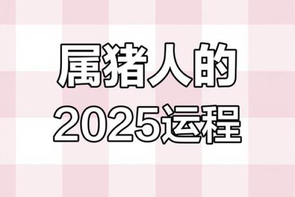 2025年属猪女每月运势详解83年出生者全年运程全解析