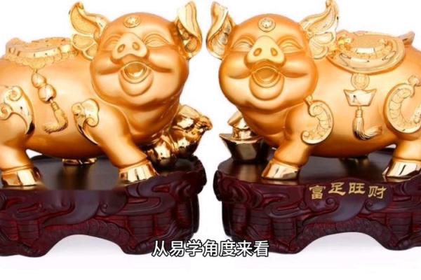 2007年属猪2025年佩戴什么合适 2007年属猪2025年佩戴什么最旺运