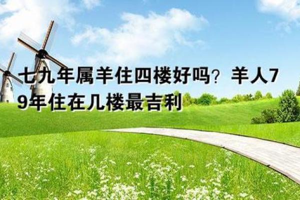 1991属羊最旺楼层_1991属羊楼层风水几楼最好