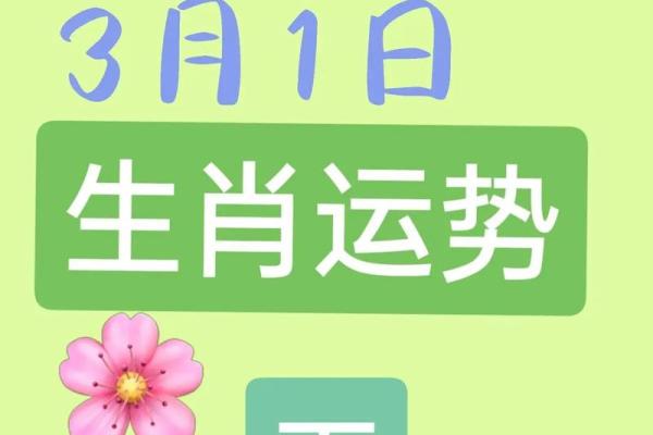 属羊的今天的财运运势_属羊的今天财运指数