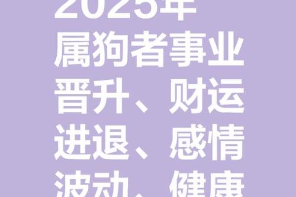 1982年属狗2025年生肖运程_1982年属狗2025年运势解析生肖运程全揭秘