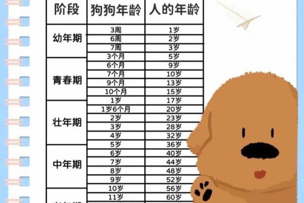 2025年属狗人年龄查询今年你多大