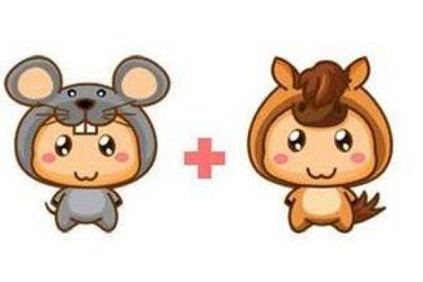 属羊和属鼠的适合做夫妻吗_属羊和属鼠的婚姻配对适合做夫妻吗