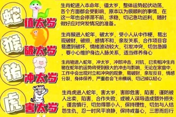 1991年属羊人2025年_1991年属羊人2025年财运怎么样