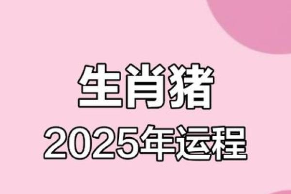 属猪的2025年运势和财运怎么样_2025年属猪人运势与财运全解析