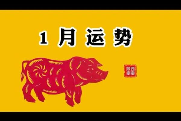 属猪今年多大2025_95年猪2025年属猪人的全年运势