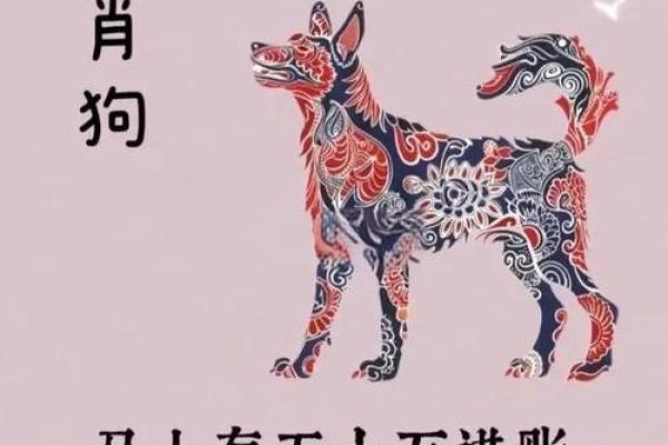 82年属狗人今年的财运_82年属狗人2023年财运解析运势如何 82年属狗人今年的财运_82年属狗人2023年财运解析运势如何