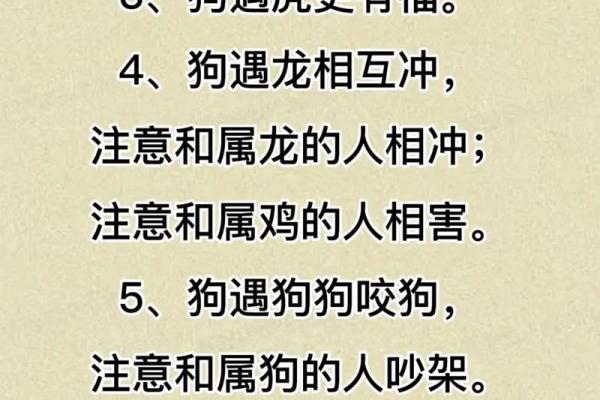 2025年属狗人运势详解事业财运爱情全解析