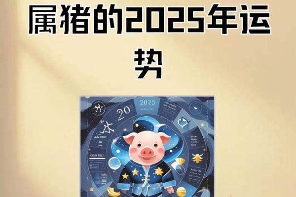 属猪人2025全年运势运程 2025年属猪人全年运势详解财运事业爱情全面解析 属猪人2025全年运势运程 2025年属猪人全年运势详解财运事业爱情全面解析