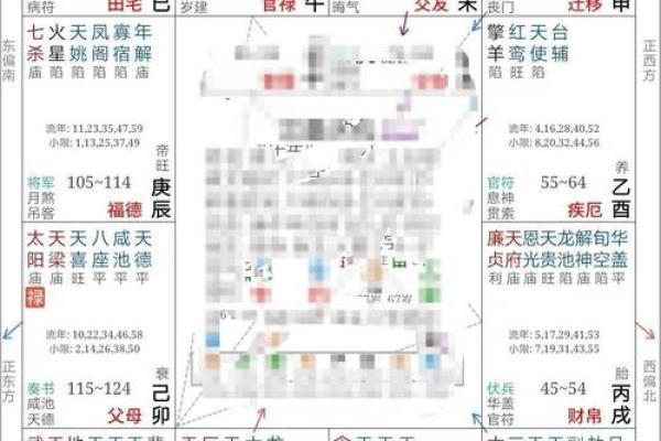 2025年2月27日丑时男命紫微斗数全解盘