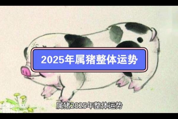 属猪的2025年_属猪的2025年幸运色是什么颜色