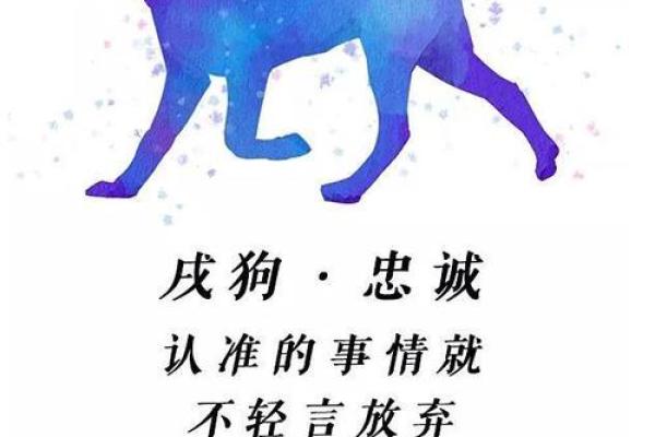 2025属狗人的全年运势1982出生 2025年属狗人全年运势解析1982年出生者必看