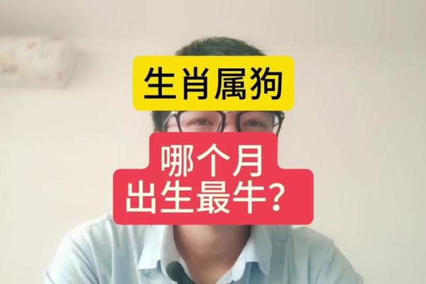 2025年82年属狗女运势解析财运事业感情全揭秘