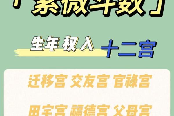 凤阁在迁移宫解读命理中的迁徙与机遇