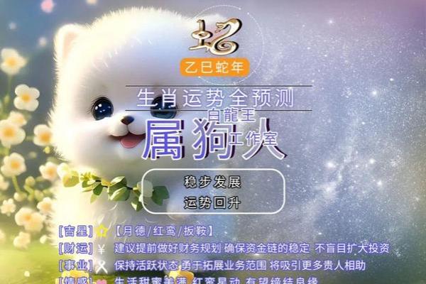 属狗的今年多大啦2025年 2025年属狗人年龄揭秘今年你几岁 属狗的今年多大啦2025年 2025年属狗人年龄揭秘今年你几岁