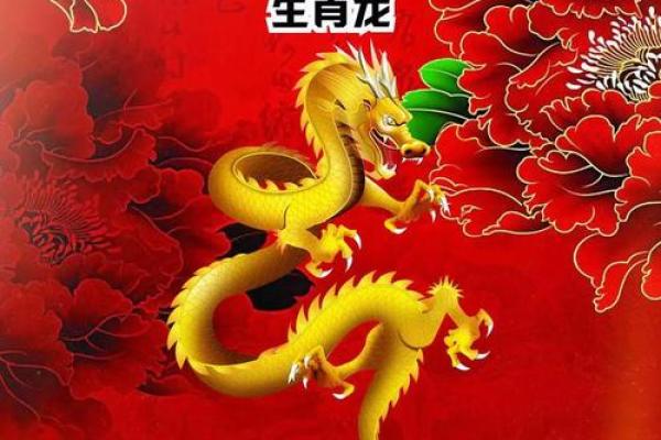 1988年属龙2024全年运势_2028年属龙全年运势