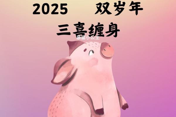95年的猪2025全年运势_2025年95年属猪人全年运势详解及运势提升指南 95年的猪2025全年运势_2025年95年属猪人全年运势详解及运势提升指南