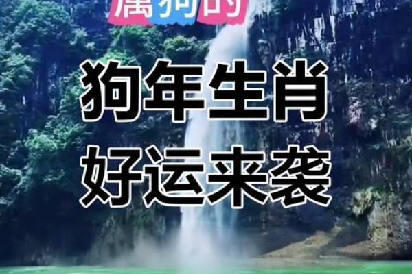 2025年属狗人运势解析财运与运气全揭秘 2025年属狗人运势解析财运与运气全揭秘